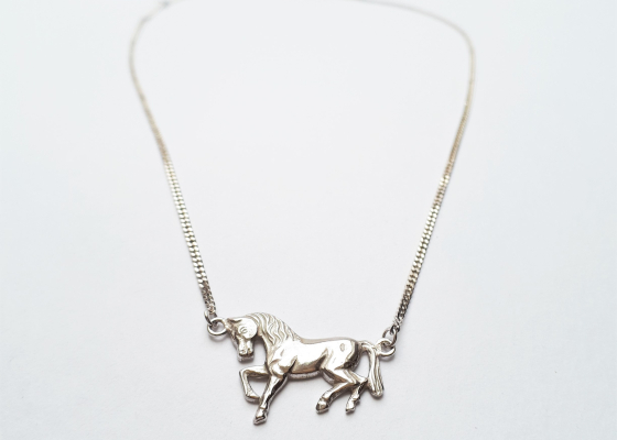 Náhrdelníček koníček