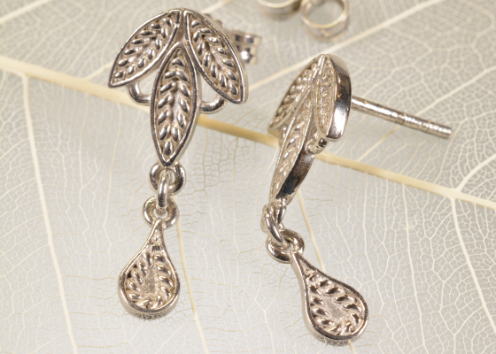 Náušnice - bělopásek