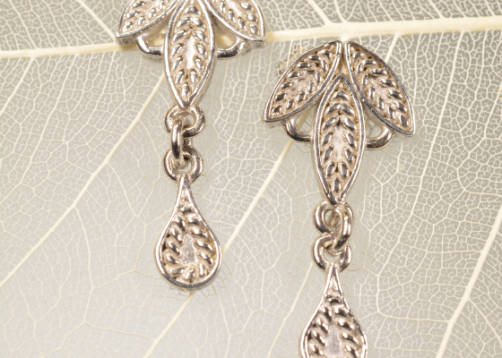 Náušnice - bělopásek