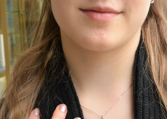 Přívěsek - hrotnokřídlec - hesonit