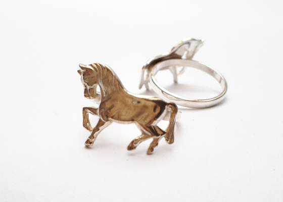 Prstýnek větší koník