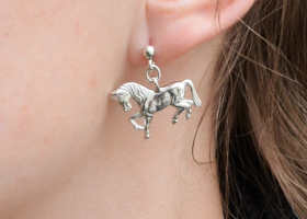 Náušnice – koníci větší