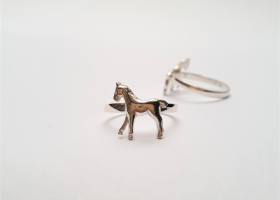 Prstýnek malý koníček